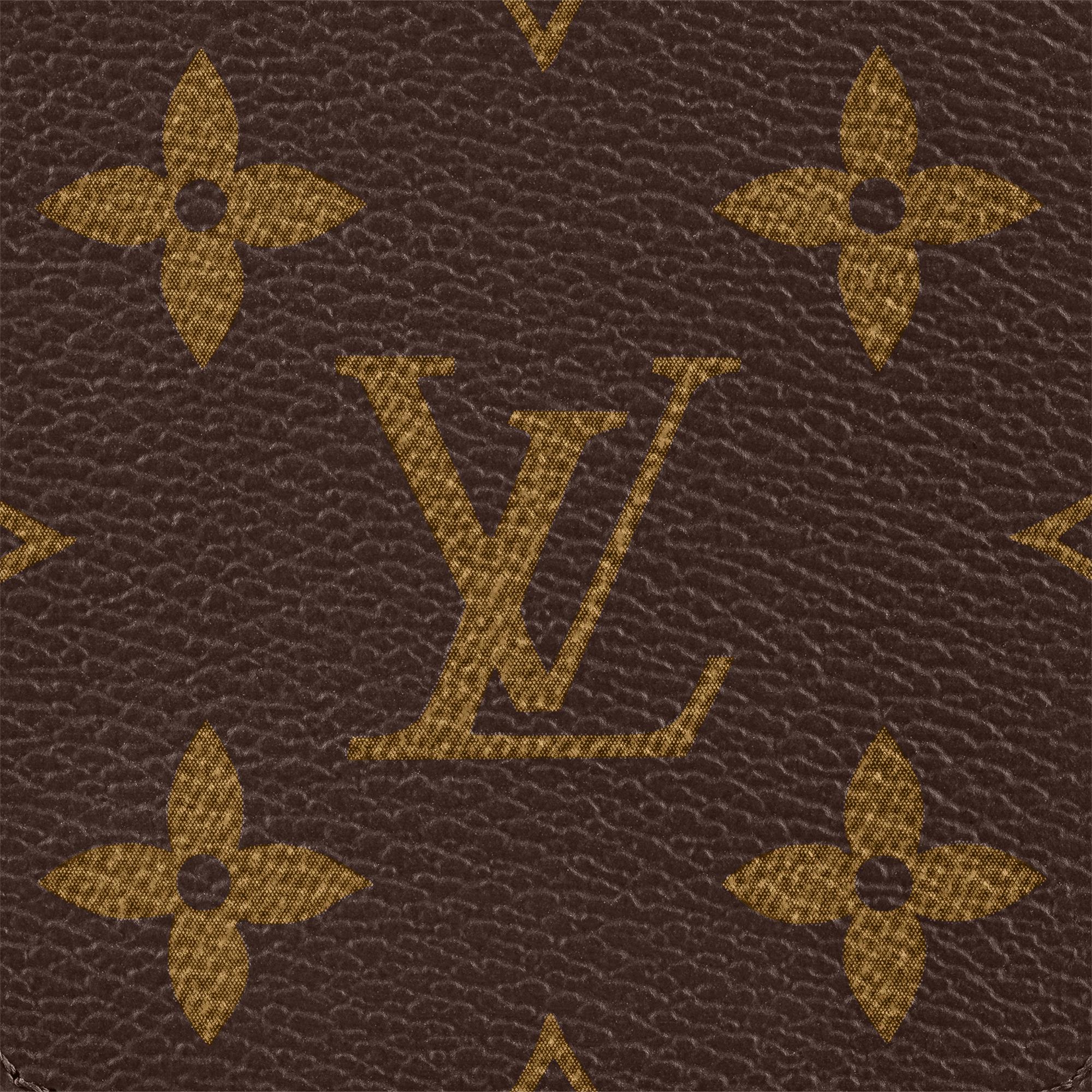 louis vuitton iphone 13 pro case